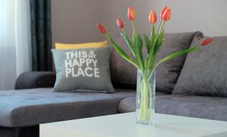 Apartmani Donata - 1