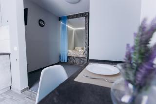 Premium apartment (із панорамним видом на центр міста) - 9