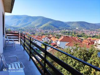 Soko-Veljkovic-apartman - Soko Banja - 9