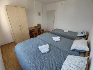 Soko-Veljkovic-apartman - 3