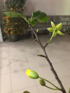 Anhkhoa hotel Mỹ Phước - 1