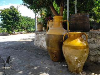 Agro Levità - Locorotondo - 1