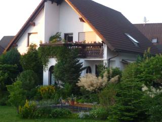 Apartment in Eibenstock 30354 - Eibenstock - 0