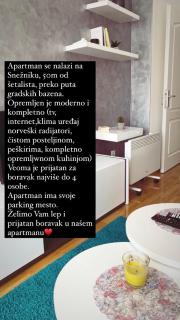 Gray Apartment - Vrnjačka Banja - 4