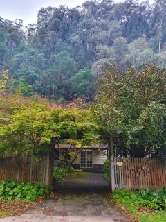 Jacomb's Cottage and Studio - Walhalla - 2