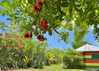 Judy House 2 - Lewis Backpacker Hostel - 2