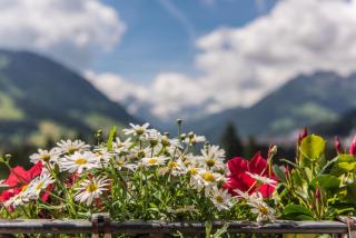 Hotel Le Grand Chalet Gstaad - Gstaad - 4