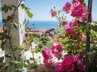 Apartment Faros - Dubrovnik - 2