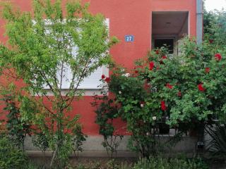 Apartman Nana Jagodina - 7