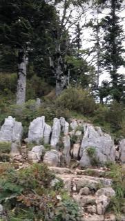 Kurort Imereti-Villa Satsire - Tqibuli - 4
