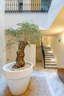 Kayser Premium Suites - 0