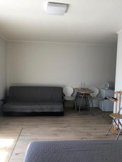 Апартаменты центр Солнечное Закарпатье - 3