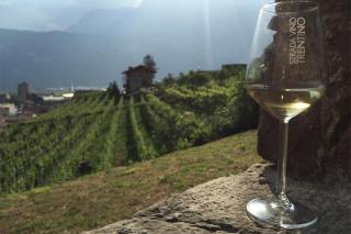 Hotel Corona - Pinzolo - 6