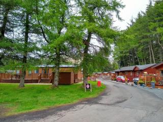 Lazy Days Lodge, Glendevon, Perthshire - 2