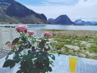 BanPim Beachside Lofoten - Ramberg - 7