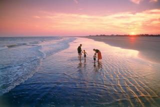 1313 Pelican Watch - Seabrook Island - Beachfront 5 Star Condo - Fido Friendly - Seabrook Island - 4