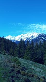 Haus am Wörtherberg - 5