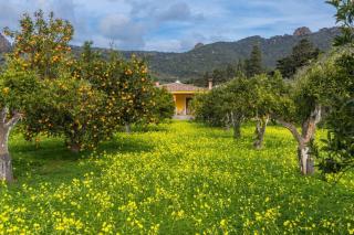 A charming country cottage + bikes and kayaks - Bosa - 0