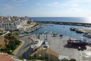 Dolphin - 4 pax - L'Ametlla de Mar - 0