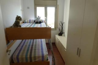 Dolphin - 4 pax - L'Ametlla de Mar - 6