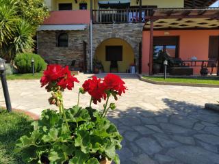 Sunday's Family House/Apartment - Nikiti - 5
