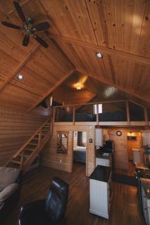 Denali Wild Stay - Bear Cabin with Hot Tub and Free Wifi, Private, sleep 6 - 8