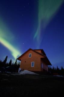 Denali Wild Stay - Bear Cabin with Hot Tub and Free Wifi, Private, sleep 6 - 7