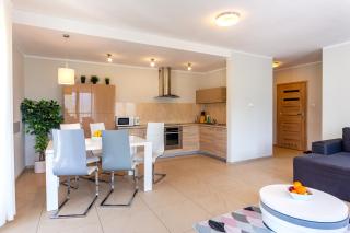 Apartament Panorama z widokiem na góry - 1