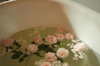 Rose Residence - 8