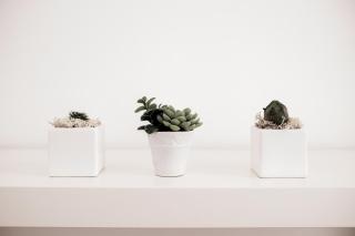 Balabuska Rooms & Garden - Codevigo - 2