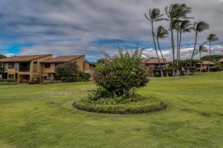 Wailea Ekahi Village - Wailea - 9