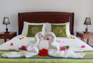 Coco Blanche - Anse Royale - 2