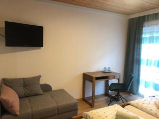 Frühstückspension Slanitsch - 4