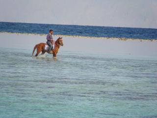 Villa Boghdady Dahab - Dahab - 2