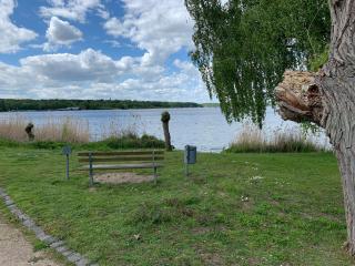 Ferienwohnung Am Müritz Seeufer - Waren - 8