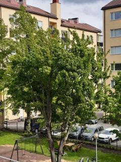 Garden Street Family - Turku - 7