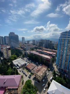 Квартира Инасаридзе 16А - 4