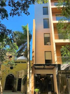 Precioso Departamento 5ta Av. Hermoso roof top! - Playa del Carmen - 9