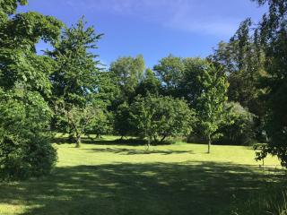 Le Logis de Limalonges - Limalonges - 1
