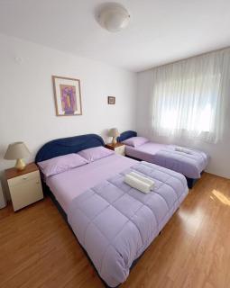 Apartmani Lugonja*** - Pisak - 4