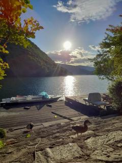 Forest Dream Lake House - Jajce - 9