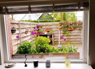 Solstice, quiet cottage in Bruinisse, Zeeland - 9