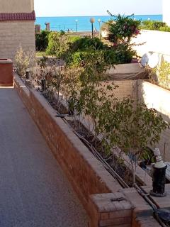 1CH1 studio 2beds ground floor sea view 114 green beach - El Alamein - 5