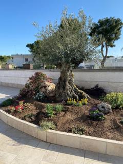 Resort Villa La Perla Sul Mare - 6