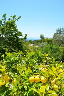 Alikias Country House - Panormos - 1