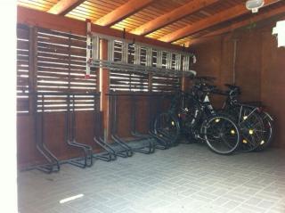 Hafenstrasse 34 - Wohnung 3 - Zingst - 2