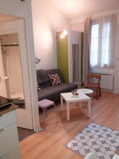 A deux pas du Château - appartements - Pau - 6