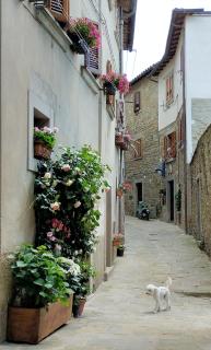 Casa Agata, accogliente appartamento nel centro storico - Cortona - 4