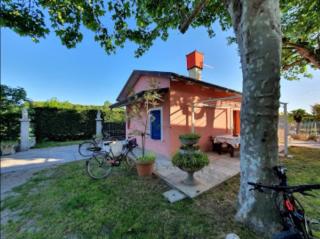 Eureka Azienda Agrituristica - Cavallino-Treporti - 4