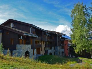 Studio cosy à Montchavin Les Coches, pied des pistes, balcon, parking gratuit - FR-1-329-2 - Bellentre - 2